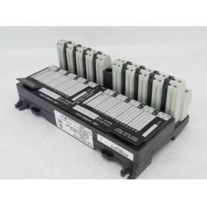 IC670CHS002 GE I/O Terminal Block