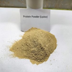 China Probiotics Fermentation Brown Poultry Protein Powder Crude Protein 75% wholesale