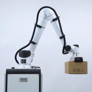 China Huayan S20 Automated Collaborative Robotic Arm Food Factory Palletizing