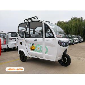 China Big Space Electric Passenger Tricycle Road Legal Electric Trike Enclosed wholesale
