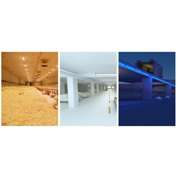 High Lumen White LED Tri - Proof Light , Waterproof Led Linear Tube Lights