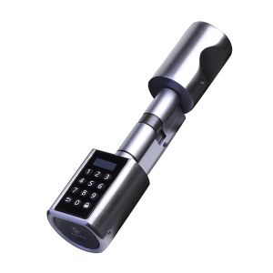 China Password RFID Card Bluetooth Tuya Smart Lock Cylinder wholesale