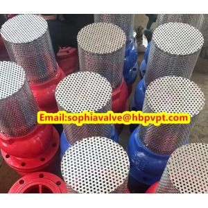 DN80 GGG50 PN16 cast iron flanged foot valve