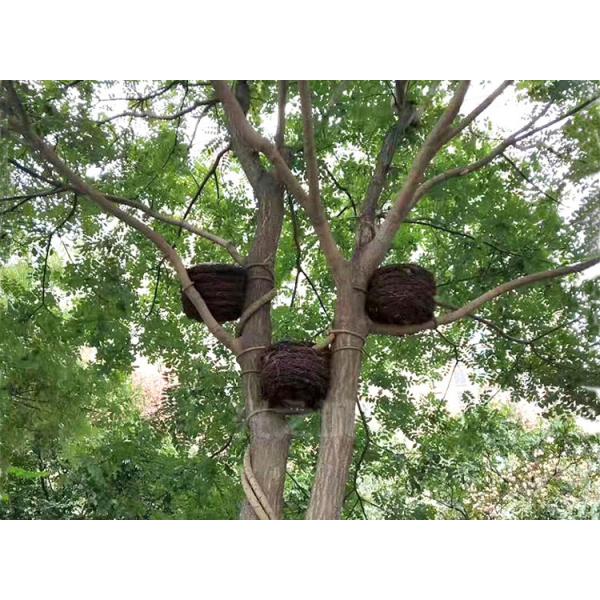 LED Simulation Bird'S Nest Lights Tree Shoot Outdoor Spot Light Waterproof Bird Rattan Cage Tree Garden