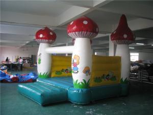 China 3 * 3m Inflatable Jumping Castle , Inflatable Water Bounce House Abrasion Resistance wholesale