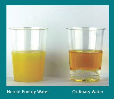 energy water cup