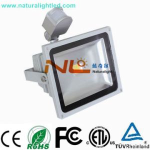3000-3300lm PIR floodlight
