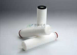 China 100% Integrity Test PTFE Membrane Filter Cartridge 0.22um Absolute Rating on sale