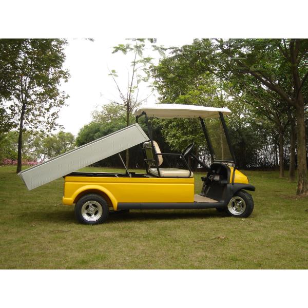 Trojan Battery Powered Electric Utility Carts 2 Seater Golf Cart Utility