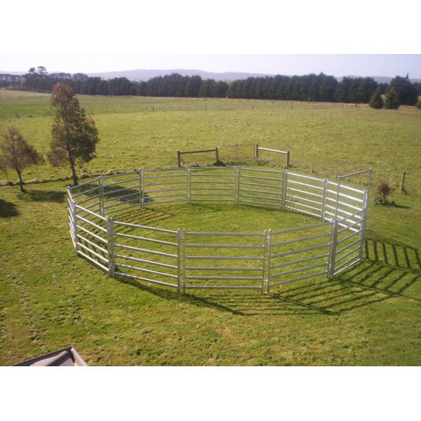 From Budget Cattle Panels To Extra Heavy Duty Portable Corral Panels For Cattle