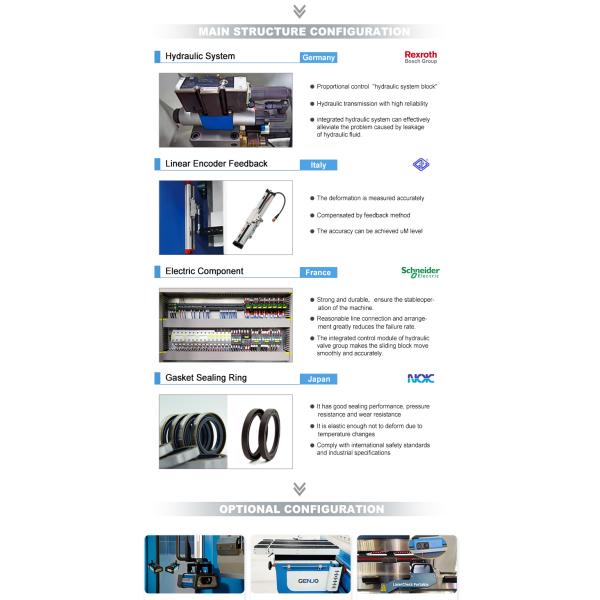 Stainless Steel Synchronized CNC Press Brake Iron Bending Machine with and Competitive