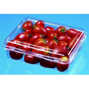 PET Sheet Extrusion Production Line