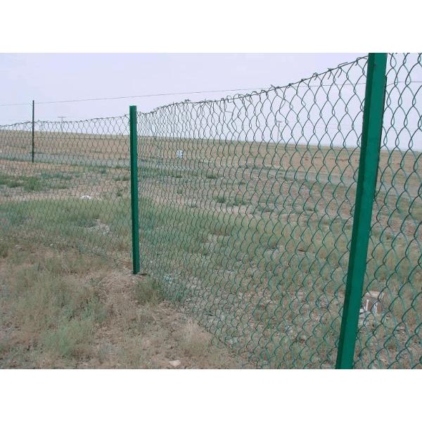 50x50mm Hot Dip Galvanized Chain Link Fence 2.0mm Wire 10m Length