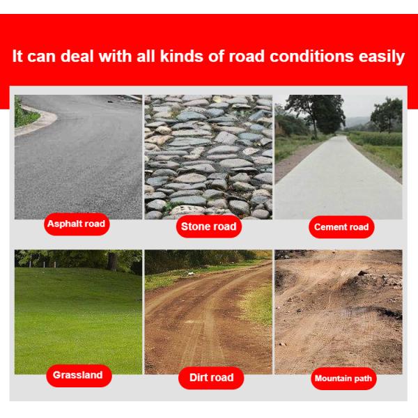 Eec Coc European Electric Scooter 120kg Long Range City Coco Fat Tire Scooter