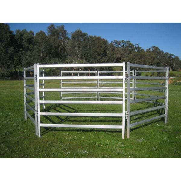 Livestock Fence Panels Oval Rail Cattle Panel Heavy Duty 6 Bar