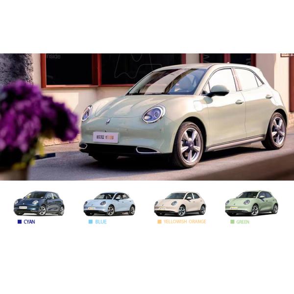 Energy Vehicle GreatWall Ora Black Cat 2023 Long Range High Speed Pure Electric Car