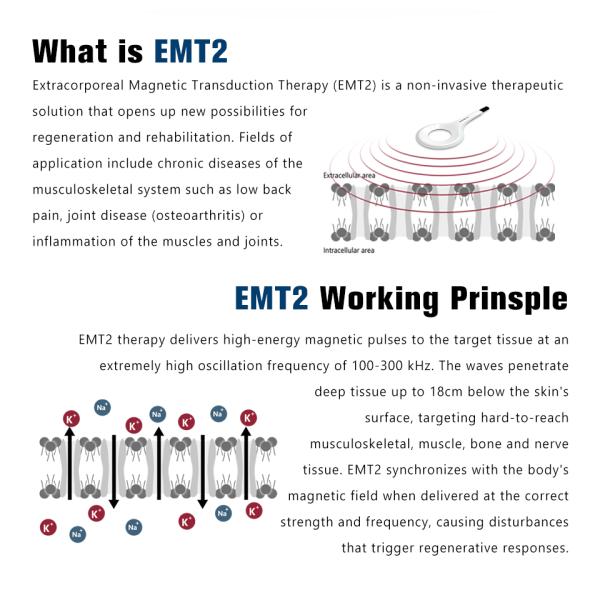Physio Magneto Therapy Super Transduction Physio Magneto Extracorporeal Machine