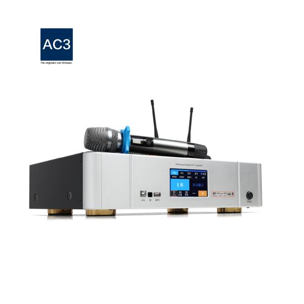 Panel Design 250W AC110V Digital Karaoke Power Amplifier