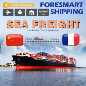China China To France International Ocean Freight Shipping wholesale