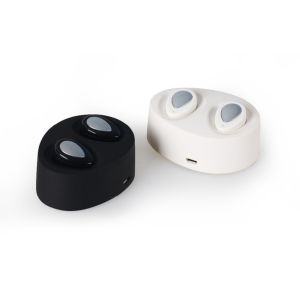 55mAh Mini Wireless Earphones , Auto Pairing True Wireless Stereo Earphones