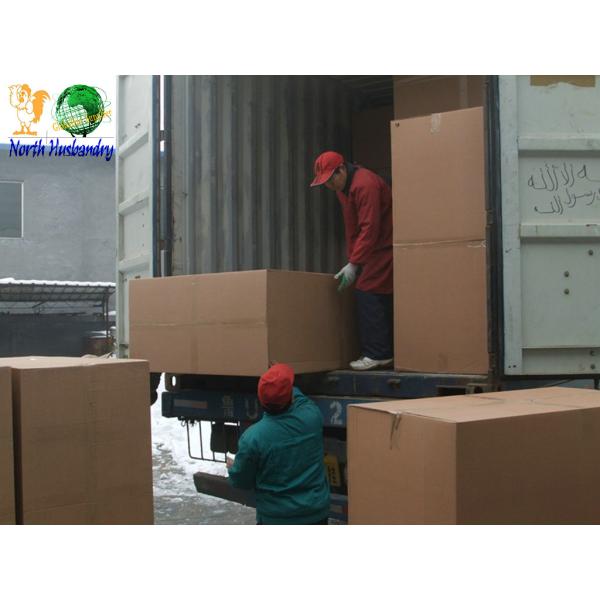 Greenhouse Ventilation Fan Equipment -www.northhusbandry.cc