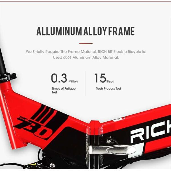 Full Suspention MTB Electric City Bike 48v 250w Lithium Battery Rich Bit 730