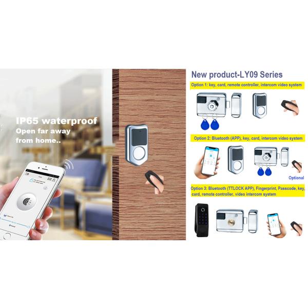 LY09 SMART electric remote control anti-theft outdoor metal door lock