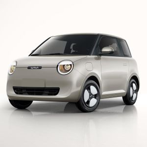 China Pure Electric Lumin ChangAn EV Cars 2022 155km Qingtian Edition wholesale