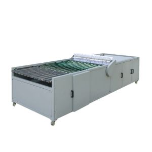 Automatic cup unscrambler