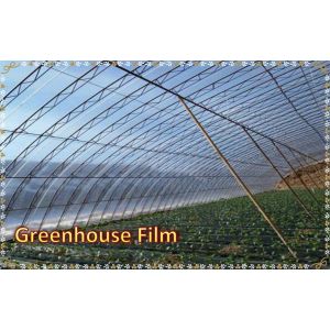 Greenhouse Film Agricultural greenhouse Plastic Film Agricultural Film