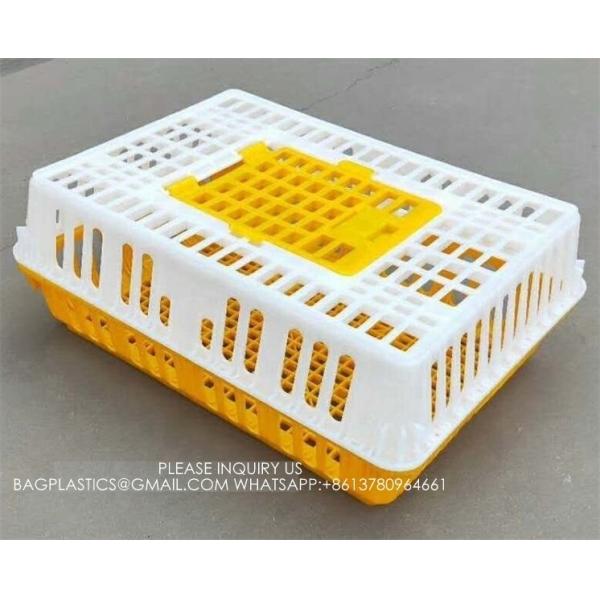 Poultry Plastic Transport Cage Crate Chicken Turnover Box For Farm Use For Duck Pigeon