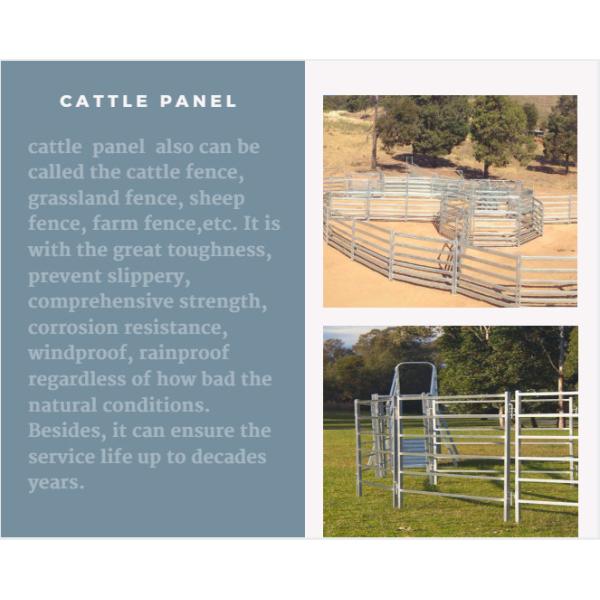 From Budget Cattle Panels To Extra Heavy Duty Portable Corral Panels For Cattle