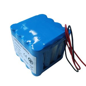 SGS Deep Cycle 4S6P 15Ah Electric Bicycle Lipo Battery Packs