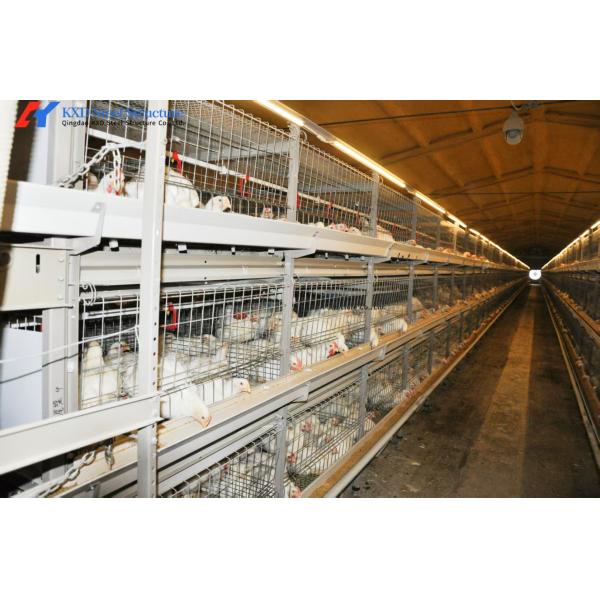 Hot Dip Galvanized Steel Poultry Farm Cage Automatic Meat Broiler Poultry Cage