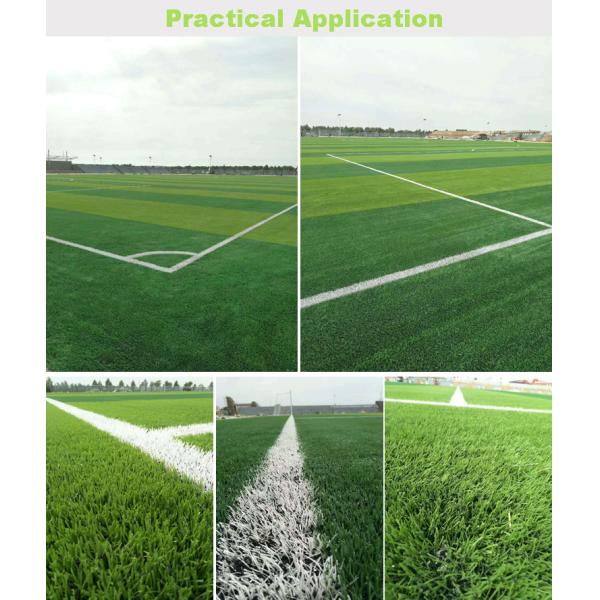 Sports Commercial Artificial Grass Soccer Field / Soccer Field Artificial Turf