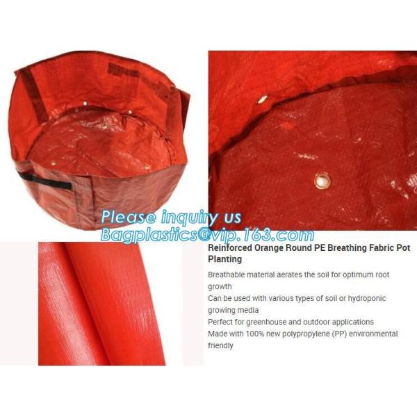 customized waterproof green pe car protector,environmental firendly, car boot liner, reusable, durable,economical,sample