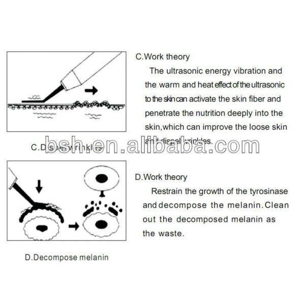 Wholesale Best Fortune Personal Care Beauty Equipment BF1203 Skin Scrubber