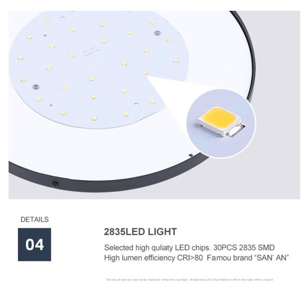 Die Cast Aluminum 20w Wall Mounted Solar Light outdooer wall lamp With 3.2v 8000mAh Battery