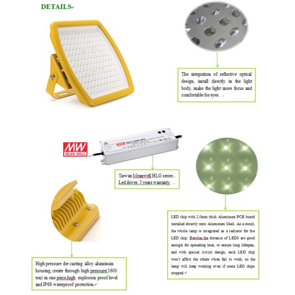 Explosion Proof LED Lighting -300 Floodlight ATEX IECEx