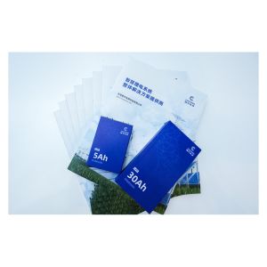 China Rechargeable Lithium Polymer Battery 3.2v Lithium Ion Battery Cell Pack on sale