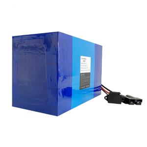 Deep Cycle LFP Lithium Lifepo4 Batteries For Electric Bicycles