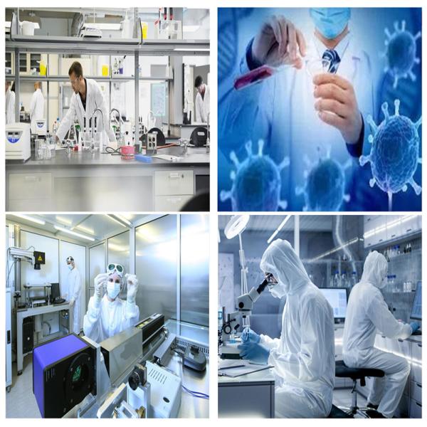 ISO Mobile PCR Cabin Laboratory 30 KW Prefab Cleanroom Container with Cleanroom Wall System