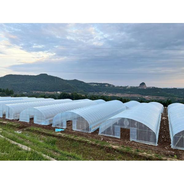 High Quality Clear UV Resistant Greenhouse Film Plastic Agriculture For Strawberry Flower Hydroponic