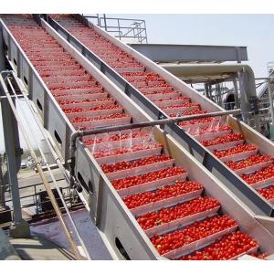 Custom Large Scale Ketchup Production Line Special Machinery For Tomato