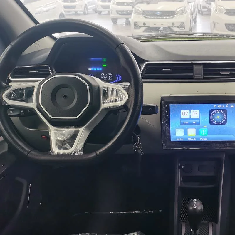 Raysince new model 5 door vehicle electric 4 Seat fast electric car for hot sale