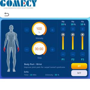 Therapeutic Magnetic Field Therapy Machine for Pain Relief