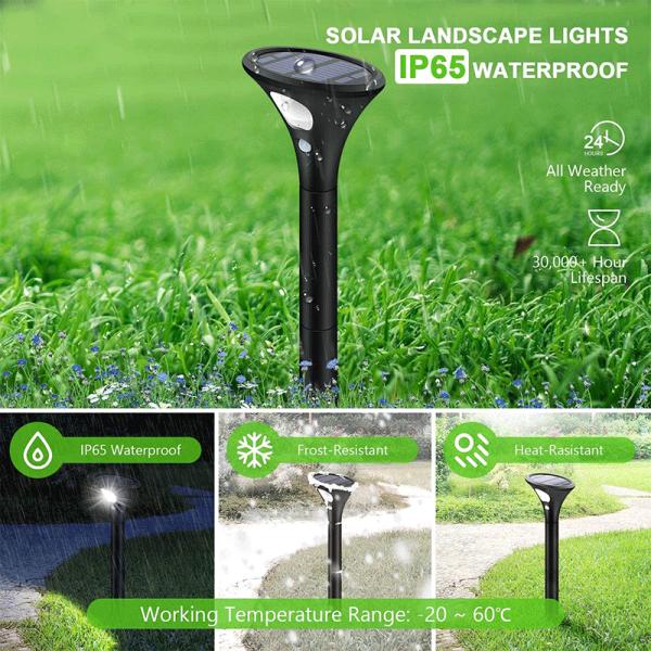 Portable super bright adjustable LED solar light