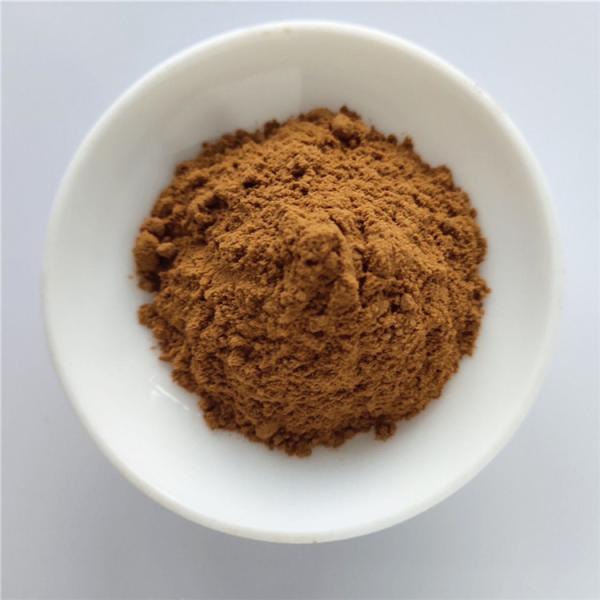 Quality Medicine Grade Freeze Dried Fig Powder/Fig Extract for sale