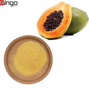 China 100% Pure natural  freeze dried green papaya powder on sale wholesale
