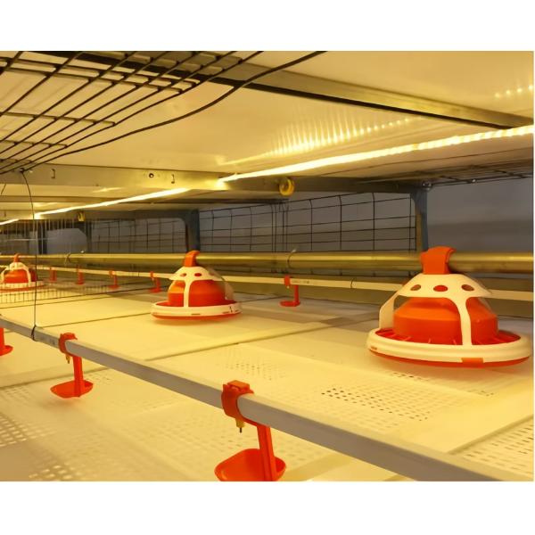 Automatic Battery Egg Layer Cages , Chicken Laying Hens Cage Poultry Farming Equipment